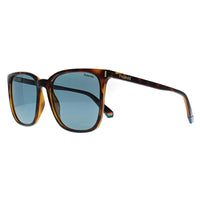 Polaroid Sunglasses PLD 6226/S 086 C3 Havana Blue Polarized