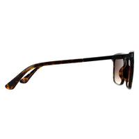 Police Sunglasses SPLA56 Record 1 0722 Shiny Dark Havana Brown Gradient