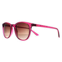 Smarty Sunglasses X2132 C Transparent Cassis Pink Brown