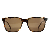 Lacoste Sunglasses L910S 214 Havana Brown