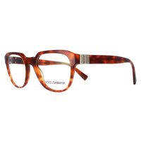 Dolce & Gabbana Glasses Frames DG 3277 3144 Dark Havana Amber Havana 51mm Mens