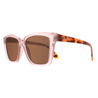 Atum Sunglasses Eden C2 Shiny Transparent Pink Brown Gradient