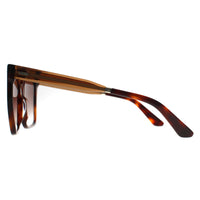 Calvin Klein Sunglasses CK22534S 220 Brown Havana Brown Gradient