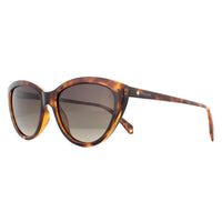 Polaroid Sunglasses PLD 4080/S 086 LA Havana Brown Gradient Polarized