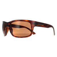 Serengeti Sunglasses Pistoia 8300 Matte Dark Tortoise Mineral Polarized Drivers