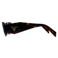 Prada Sunglasses PR17WS 2AU8C1 Tortoise Brown
