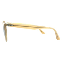 Ray-Ban Sunglasses 2180 616613 Turtledove Brown Brown Gradient