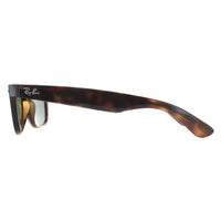 Ray-Ban Sunglasses New Wayfarer 2132 902 Tortoise Green 52mm