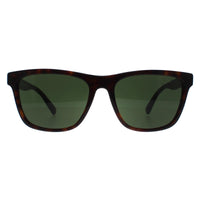 Polo Ralph Lauren Sunglasses PH4167 500371 Shiny Dark Havana Dark Green