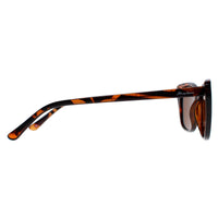 Montana Sunglasses MP42 B Tortoise Brown Polarized