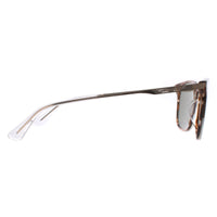 Police Sunglasses SPLD47 Code 4 09N3 Shiny Striped Brown Green