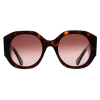 Chloe Sunglasses CH0234S 002 Dark Havana Brown Gradient