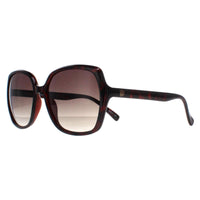 Smarty Sunglasses X2110 B Warm Demi Brown Tortoise Brown