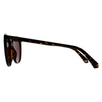Polaroid Sunglasses PLD 6231/S 086 KL Havana Violet Polarized