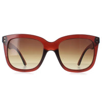 Calvin Klein Sunglasses CK22550S 210 Transparent Brown Brown Gradient