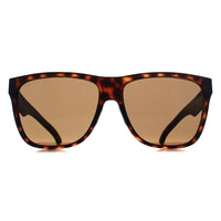 Smith Sunglasses Lowdown XL 2 HGC L5 Matte Tortoise ChromaPop Polarized Brown