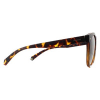 Polaroid Sunglasses PLD 6043/S 086 LA Dark Havana Brown Gradient Polarized
