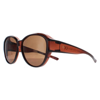 Smarty Sunglasses X2115 B Transparent Brown EF Brown