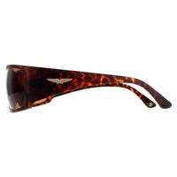 Police Sunglasses SPLB46 Origins 40 0738 Havana Brown