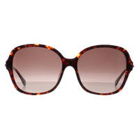 Kate Spade Sunglasses Kaiya/F/S 086 HA Havana Brown Gradient