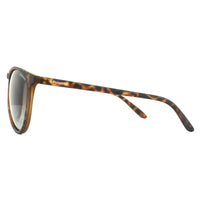Polaroid Sunglasses PLD 6003/N/S V08 LA Havana Brown Gradient Polarized