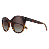 Polaroid Sunglasses PLD 6043/S 086 LA Dark Havana Brown Gradient Polarized