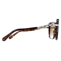 Bvlgari Sunglasses BV8237B 504/T5 Havana Brown Gradient Polarized