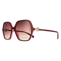 Bvlgari Sunglasses BV8238B 5469E2 Bordeaux on Transparent Red Brown Purple Gradient