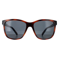 Smarty Sunglasses SB2315 C Tortoise Brown Blue Grey Blue