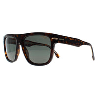 Carrera Sunglasses Carrera 340/S QUM QT Dark Havana Green