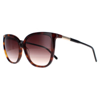 Lacoste Sunglasses L963S 230 Havana Brown Gradient