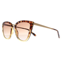 Ted Baker Sunglasses TB1642 Doris 129 Tortoise Brown Gradient