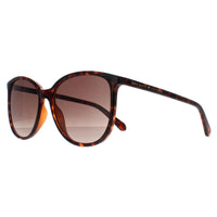 Kate Spade Sunglasses Lauriane 086 HA Brown Grey Gradient