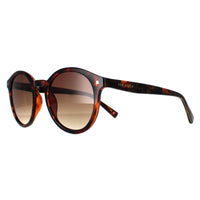 Ted Baker Sunglasses TB1677 Fleur 149 Double Champagne Demi Brown Gradient