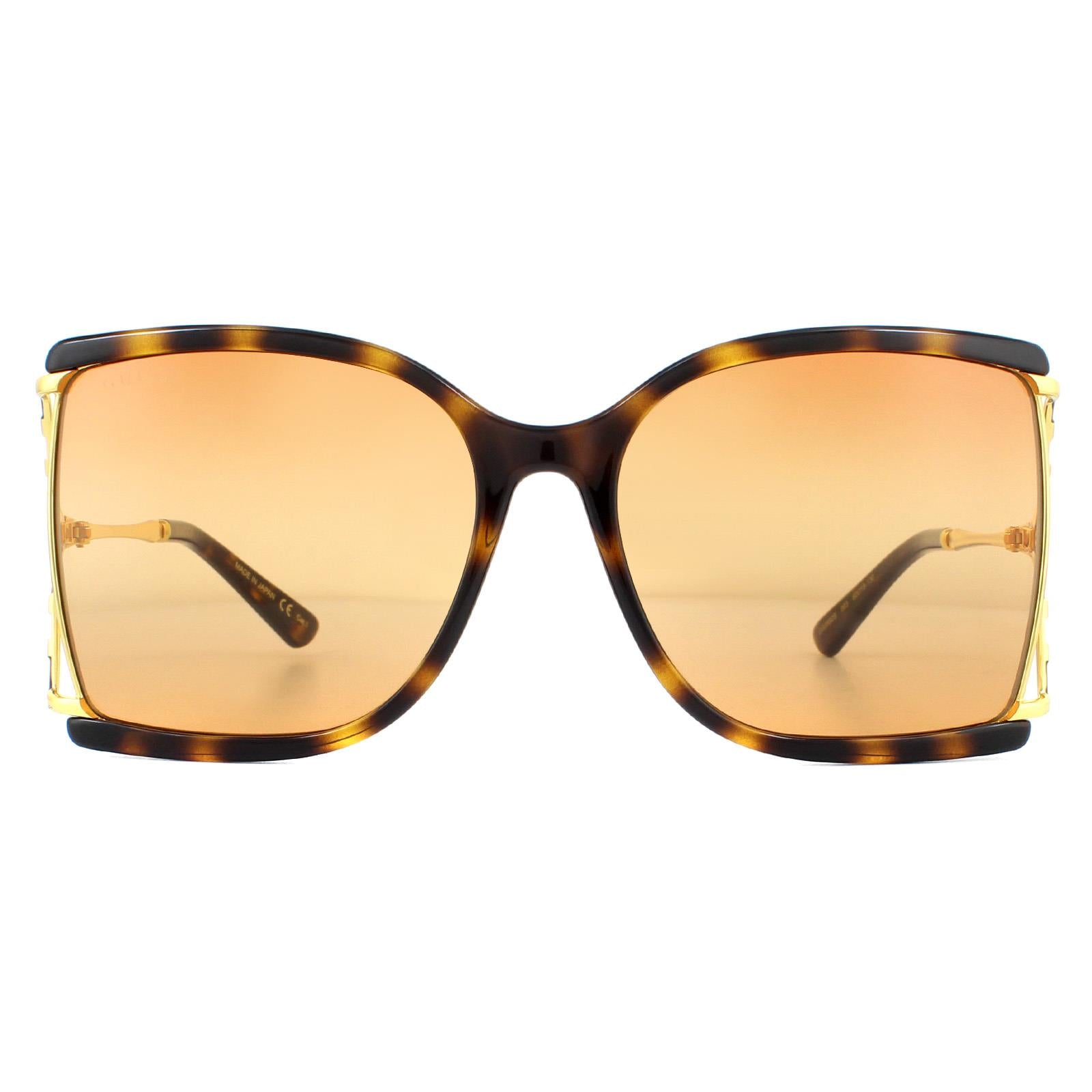 Gucci Sunglasses GG0592S 003 Havana and Gold Orange Double