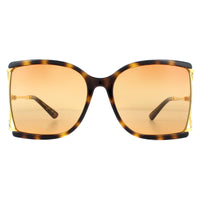 Gucci Sunglasses GG0592S 003 Havana and Gold Orange Double Gradient on Brown