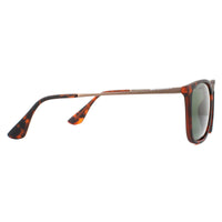 Montana Sunglasses MP34 B Brown Turtle Rubbertouch G15 Green Polarized