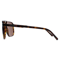 Dolce & Gabbana Sunglasses DG4423 502/73 Havana Dark Brown