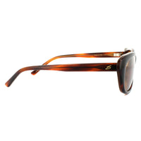 Serengeti Sunglasses Bagheria 7789 Transparent Dark Tortoise Drivers Brown Polarized