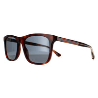 Gucci Sunglasses GG0381SN 009 Havana Blue