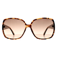 Guess Sunglasses GF0426 53F Tortoiseshell Brown Gradient