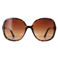 Smarty Sunglasses X2117 B Demi Gold Brown