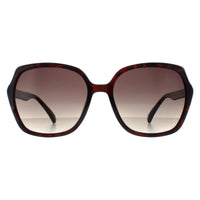 Smarty Sunglasses X2110 B Warm Demi Brown Tortoise Brown