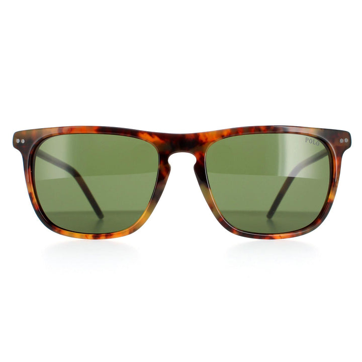 Polo Ralph Lauren Sunglasses PH4168 501771 Shiny Jerry Havana Bottle Green
