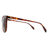 Polaroid Sunglasses PLD 4066/S 086 LA Dark Havana Brown Polarized