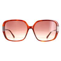 Ted Baker Sunglasses TB1616 Indi 307 Tortoise Brown Brown Gradient