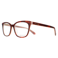 Kate Spade Glasses Frames Ninna/G 086 Havana Women