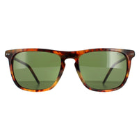 Polo Ralph Lauren Sunglasses PH4168 501771 Shiny Jerry Havana Bottle Green