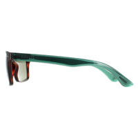 Ted Baker Sunglasses TB1409 Rhett 173 Tortoiseshell Green