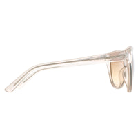 Calvin Klein Sunglasses CK19536S 270 Crystal Beige Brown Gradient